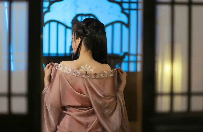 侠女逍遥录 侠女逍遥录顶级黄油存档指南 封面图